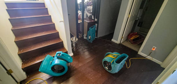 Best 24-hour water damage restoration  in Parshall, ND