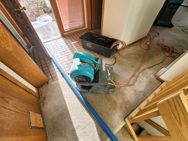 Best Water damage cleanup near me  in Parshall, ND