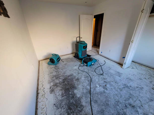 Best Carpet water damage restoration  in Parshall, ND