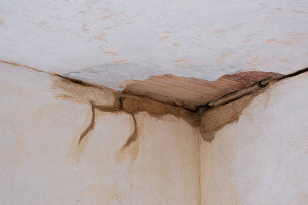 Water damage restoration mold remediation in Parshall, ND
