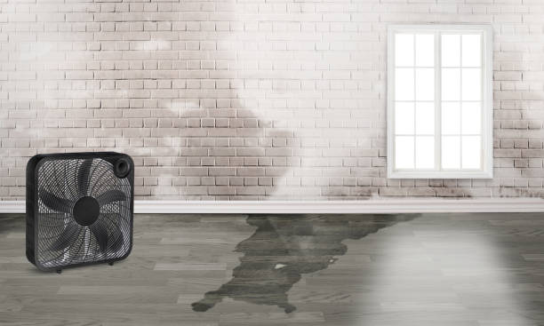 Water damage restoration experts in Parshall, ND