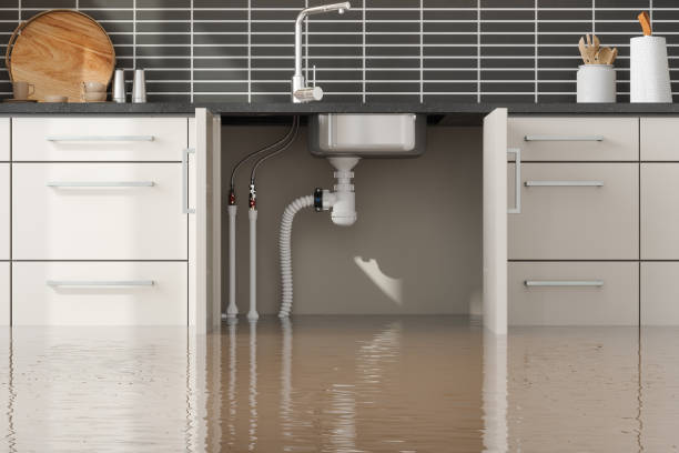 Best Commercial water damage restoration  in Parshall, ND